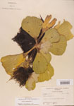 000004505-thumbnail.jpg