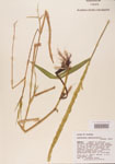 000004513-thumbnail.jpg