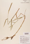000004514-thumbnail.jpg