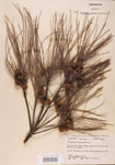 000004572-thumbnail.jpg