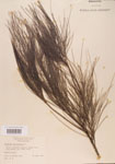 000004573-thumbnail.jpg