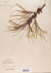 000004574-thumbnail.jpg