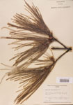 000004575-thumbnail.jpg