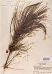 000004576-thumbnail.jpg