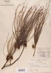 000004577-thumbnail.jpg