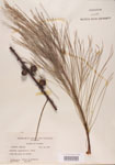 000004578-thumbnail.jpg