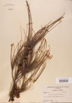 000004579-thumbnail.jpg