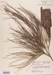 000004582-thumbnail.jpg