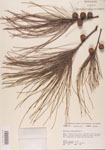 000004583-thumbnail.jpg