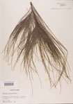 000004584-thumbnail.jpg