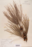 000004587-thumbnail.jpg