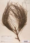 000004588-thumbnail.jpg