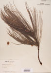 000004589-thumbnail.jpg