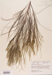 000004596-thumbnail.jpg