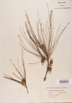000004602-thumbnail.jpg