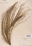 000004609-thumbnail.jpg