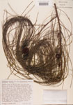 000004611-thumbnail.jpg