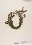 000004661-thumbnail.jpg