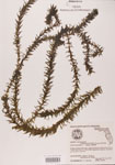 000004663-thumbnail.jpg