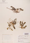 000004664-thumbnail.jpg