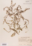 000004666-thumbnail.jpg