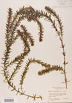 000004667-thumbnail.jpg