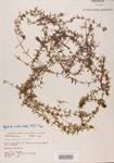 000004668-thumbnail.jpg