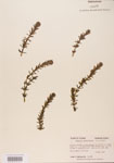 000004672-thumbnail.jpg