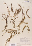 000004673-thumbnail.jpg