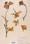 000004748-thumbnail.jpg