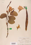 000004749-thumbnail.jpg