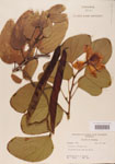 000004751-thumbnail.jpg
