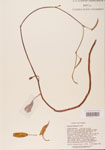 000004763-thumbnail.jpg
