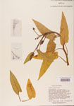 000004766-thumbnail.jpg