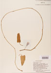 000004768-thumbnail.jpg