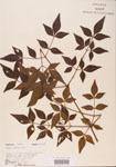 000004774-thumbnail.jpg