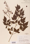 000004776-thumbnail.jpg