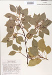000004814-thumbnail.jpg