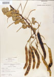000004872-thumbnail.jpg