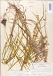 000004914-thumbnail.jpg