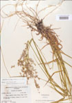 000004916-thumbnail.jpg