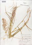 000004918-thumbnail.jpg