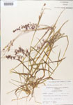 000004920-thumbnail.jpg