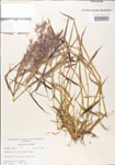 000004933-thumbnail.jpg