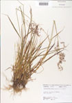 000004934-thumbnail.jpg