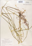 000004936-thumbnail.jpg