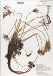 000004957-thumbnail.jpg