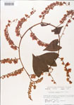 000005046-thumbnail.jpg