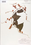 000005048-thumbnail.jpg