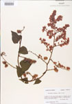 000005049-thumbnail.jpg